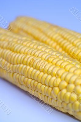 Cob corn