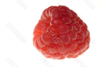 Big raspberry