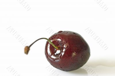 Single cherry