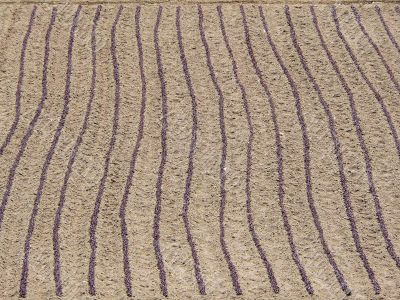 spring agriculture background