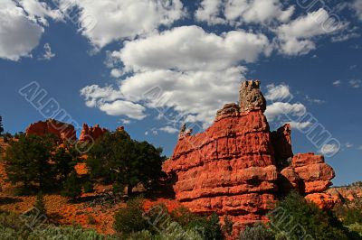 Redrock Canyon