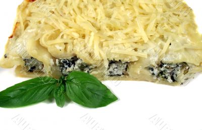 Fresh Spinach And Ricotta Cannelloni