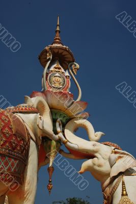 Elephants