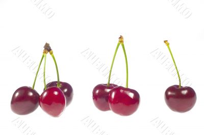 Cherry