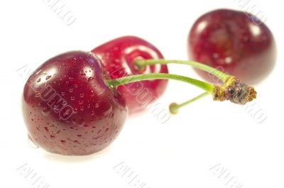 Cherry