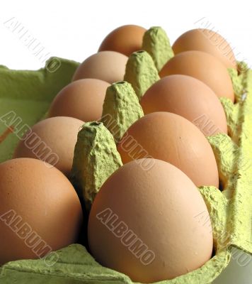 egg