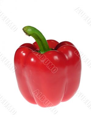 Red paprika