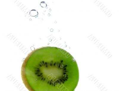 kiwi splashing