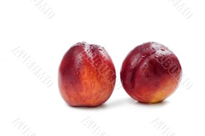 Wet nectarine