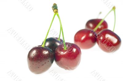 Cherry