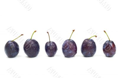 Plum