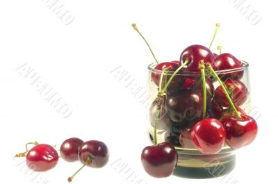 Cherry