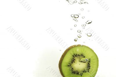 kiwi splashing
