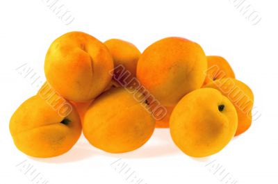 Apricot