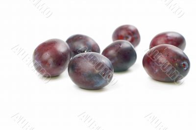 Dark plum