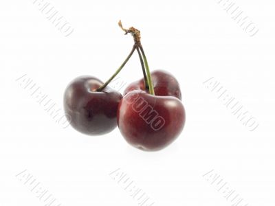 cherries