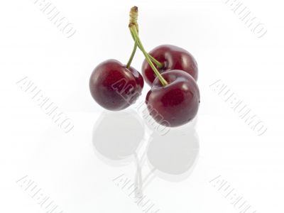 cherries