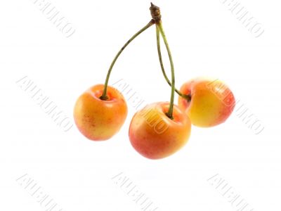 cherries