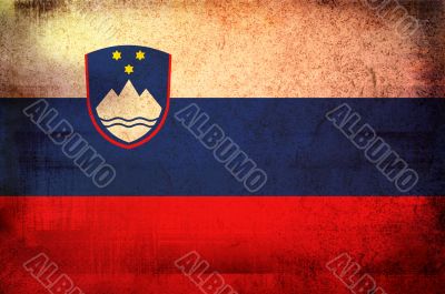 flag of national