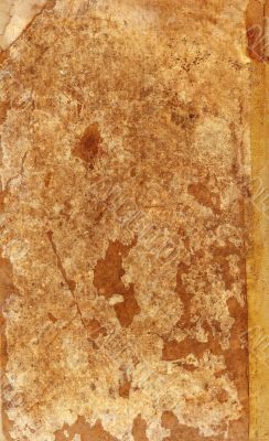Detailed textured grunge background/frame