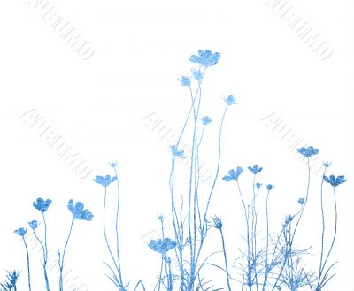 flower abstract textures and backgrounds