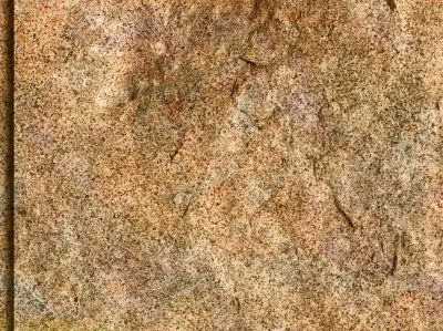Detailed textured grunge background/frame