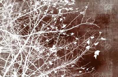 flower abstract textures and backgrounds