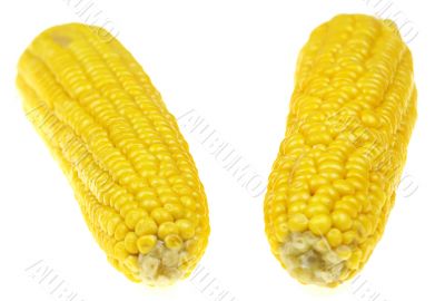 Corn cob