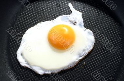 Fried egg
