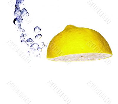 Citrus fruits