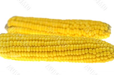 Corn cob