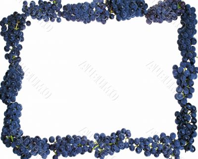 Frame grape