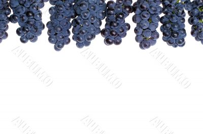 Frame grape