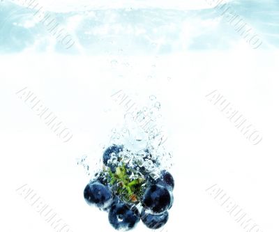 Splash grape