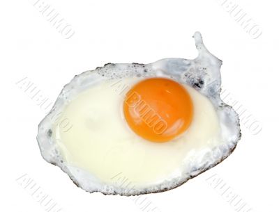 Fried egg