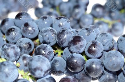 Close-up grape