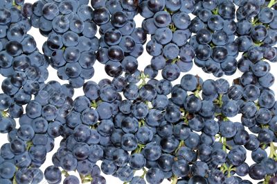 Grape