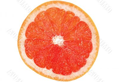 Grapefruit slice