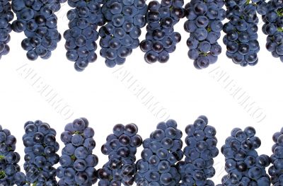 Frame grape