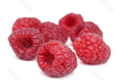 Raspberry close up