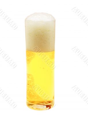 Beer