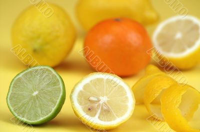 Citrus fruits