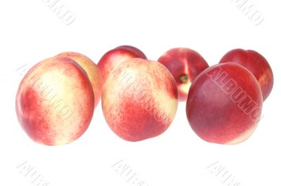 Nectarine