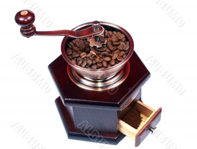 Grinder