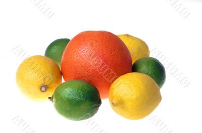 Citrus fruits