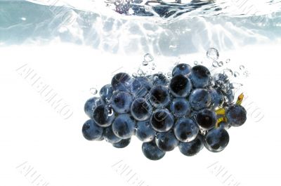 Splash grape