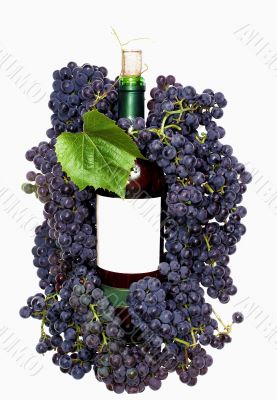 Dark grape and wine