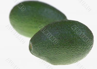 Avocado