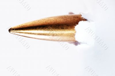 Shoot