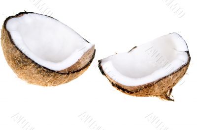 Coconut isolated